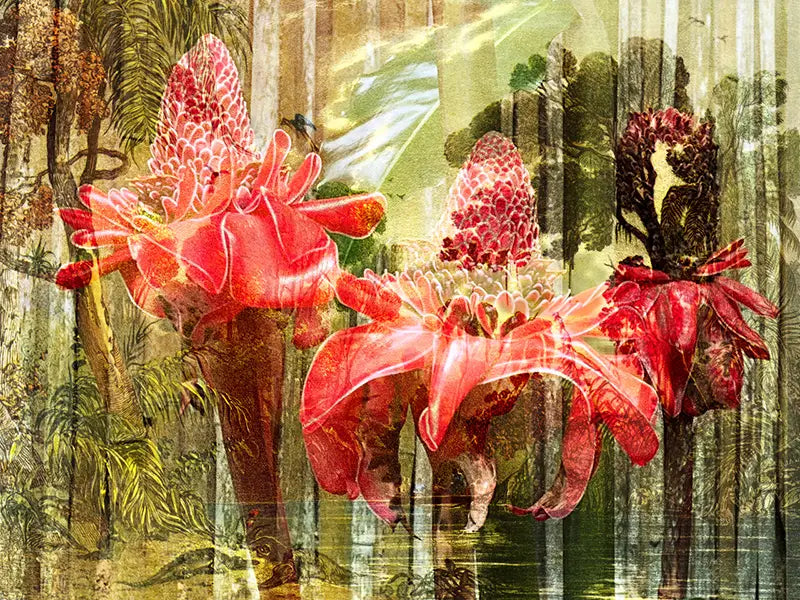 eine Zeichnung des brasilianischen Urwalds als Komposition mit einer roten Blüte, gelbe, grüne und rote Farbtöne, Details des Hintergrundes mit der roten Blüte