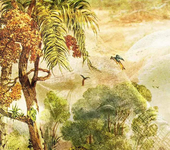 eine Zeichnung des brasilianischen Urwalds als Komposition mit einem Elefanten, gelbe, grüne und braune Farbtöne, Details der Pflanzen