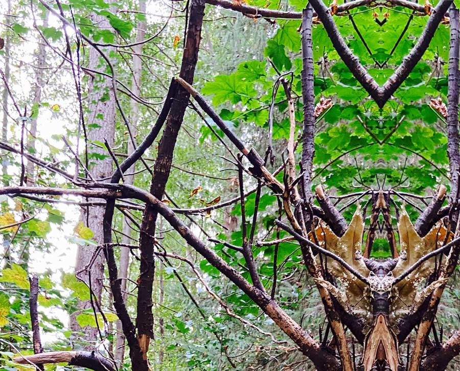 Gespiegeltes foto aus dem Wald, Wurzeln sehen jetzt wie eine große Spinne aus, Details Äste mit Blättern