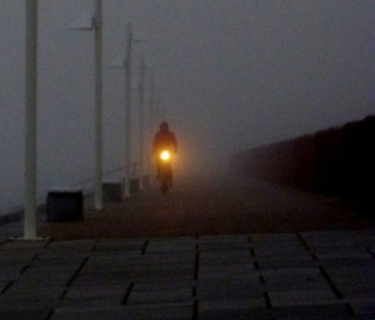 Cyclists on the dike