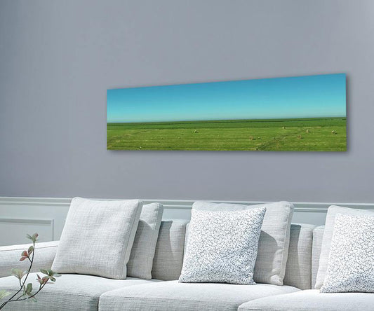 Panoramafoto von Sylt, grüne Wiese mit blauem Himmel und schafe an hellgrauer wand hängend mit hellem Sofa