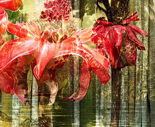 eine Zeichnung des brasilianischen Urwalds als Komposition mit einer roten Blüte, gelbe, grüne und rote Farbtöne