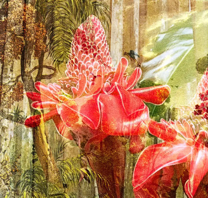 eine Zeichnung des brasilianischen Urwalds als Komposition mit einer roten Blüte, gelbe, grüne und rote Farbtöne, Details der roten Blüte