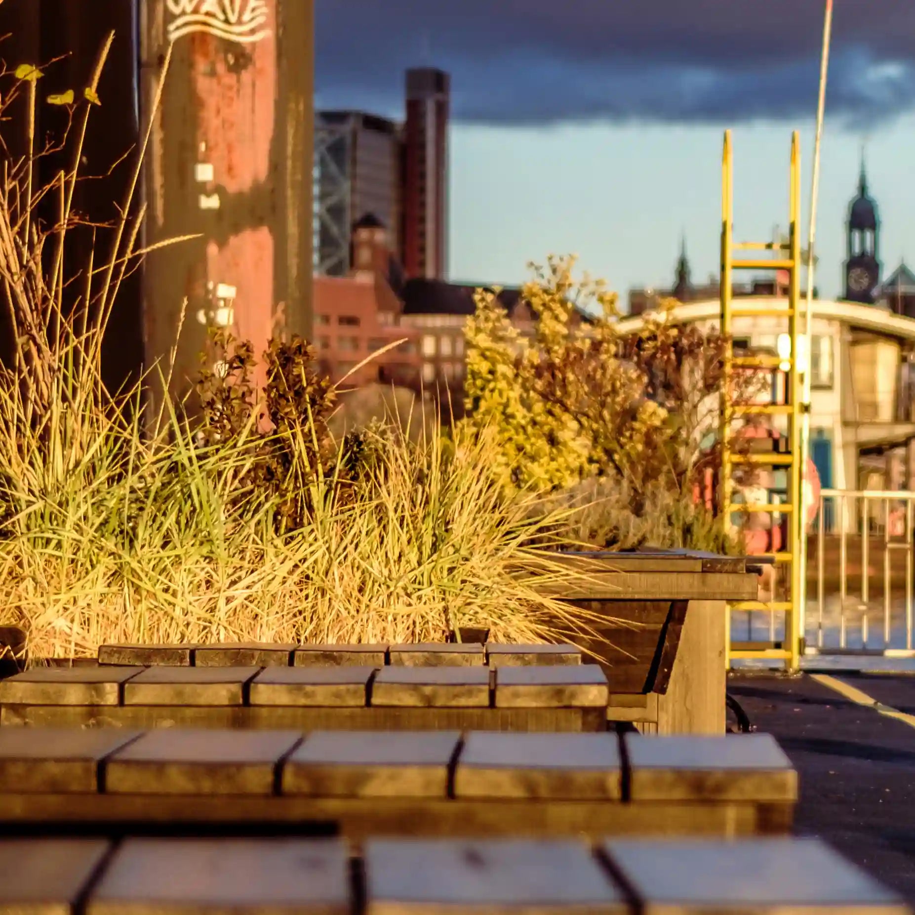 Farbfoto vom Anleger hinter der Fischauktionshalle mit Kirchen und gelben Pollern, Detailansicht mit Gras