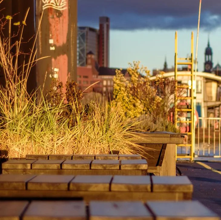Das Farbfoto von J.P. Ehlers zeigt ein mildes Licht, die Elbe, einen Anleger, ein urbanes Fotos, detailansicht mit  Grasbüschel