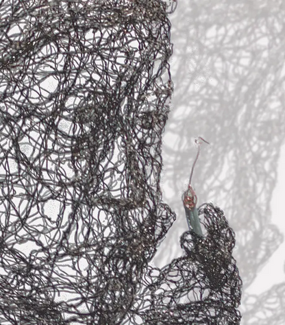 Drahtskulptur Kopf Helmut Schmidt vor weißem Hintergrund, Detaiansicht mit Draht und Schatten