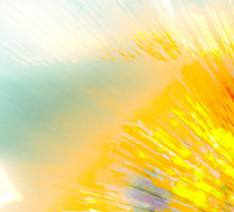 Schmetterling abstrakt auf einer gelben Blüte, Detail vom Rand der Blüte