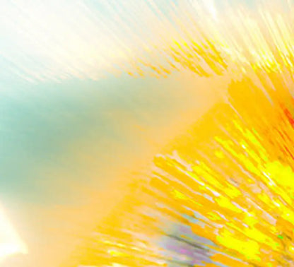 Schmetterling abstrakt auf einer gelben Blüte, Detail vom Rand der Blüte