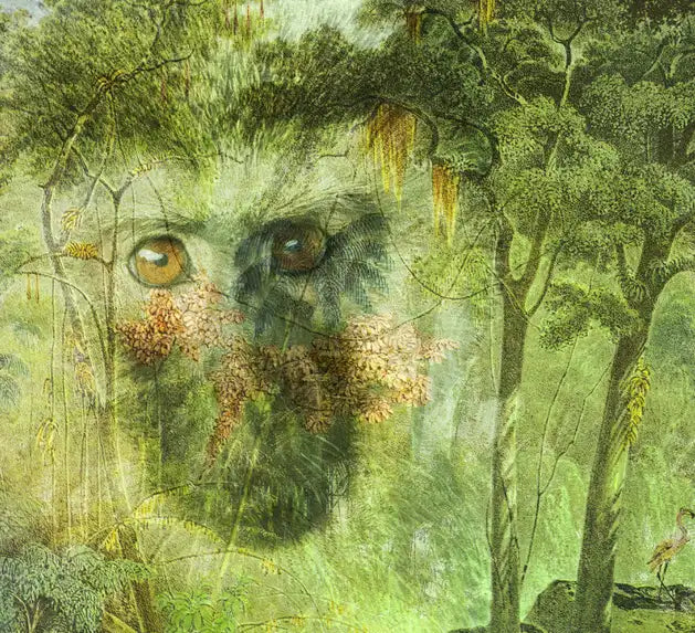 eine Zeichnung des brasilianischen Urwalds als Komposition mit dem Gesicht eines Affen, grüne Farbtöne, Detail des affen