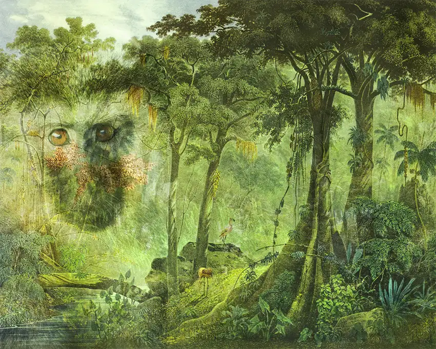 eine Zeichnung des brasilianischen Urwalds als Komposition mit dem Gesicht eines Affen, grüne Farbtöne