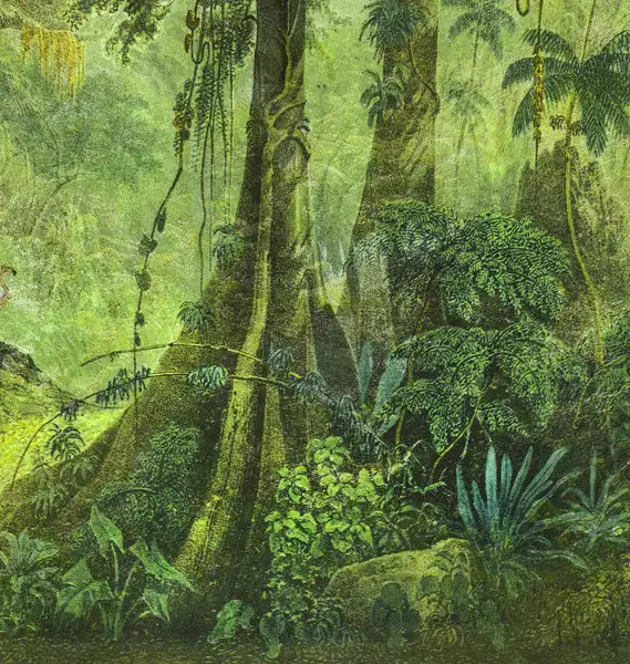 eine Zeichnung des brasilianischen Urwalds als Komposition mit dem Gesicht eines Affen, grüne Farbtöne, Details der Pflanzen